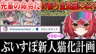 【絵描き配信】2/22なので新人2人とひなーのに猫耳を生やす猫汰つな【ぶいすぽ / 猫汰つな / 切り抜き】