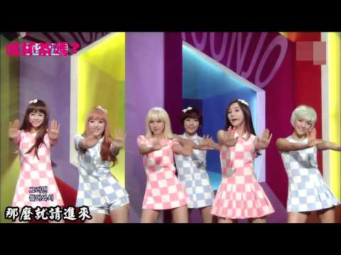 Hello Venus - 喝杯茶嗎? 繁中應援