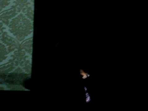 Filipa Baptista ao vivo - When love takes over  .wmv