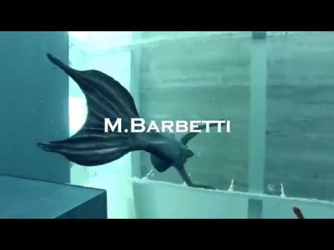 M BARBETTI AKA KRAF - EL CANTO DE Sr.ene