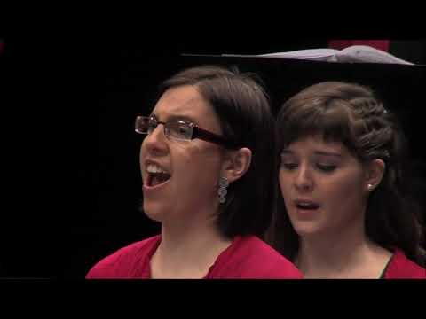 "Izarapean" Xabier Sarasola. VOCALIA TALDEA. Certamen de Berrioplano A Capella. 19-3-2011