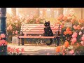 Lofi With My Cat || Lofi for Cats 💌😸 Spring is coming 🎶🌹Spring LoFi hip-hop beats ~ Relax Music