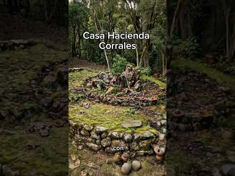 Cerro Quitasol:montaña sagrada del norte
