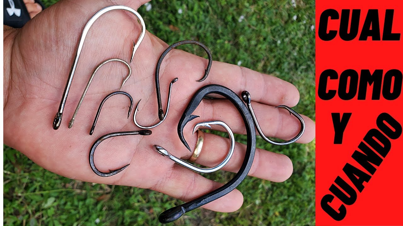 TUTORIAL de ANZUELOS para la PESCA, CUAL ANZUELO USAR CUANDO Y COMO !