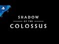 Shadow of the Colossus – TGS 2017 Trailer | PS4