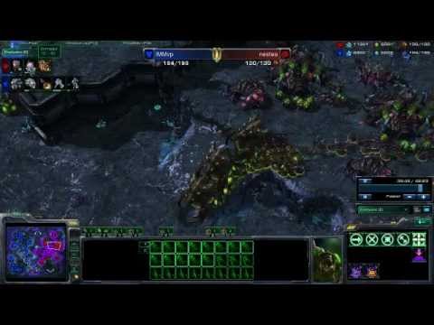 [CABBY] (INSANE comeback) QIMNesTea vs IMMvp