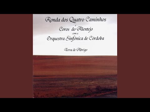 Não quero que vás à monda