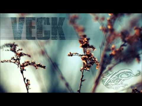 Veck V | VECK