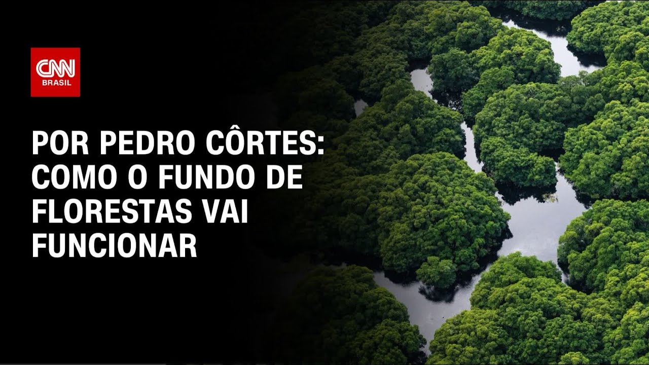 Análise: Como o fundo de florestas vai funcionar | CNN NOVO DIA