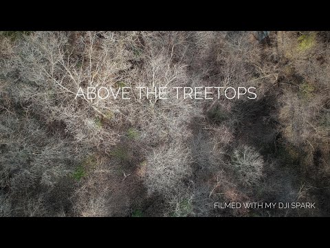 Rise Above - DJI Spark Above The Trees