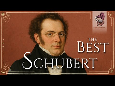 The Best Of Schubert | A Deep Dive Into His Harmonies