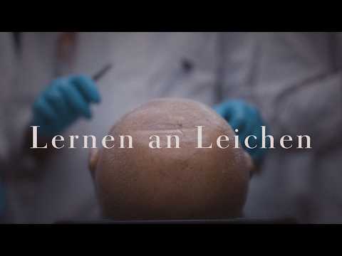 Das sieht sonst nur, wer Medizin studiert.