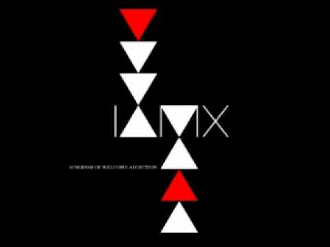 IAMX - I AM TERRIFIED (Album Version)