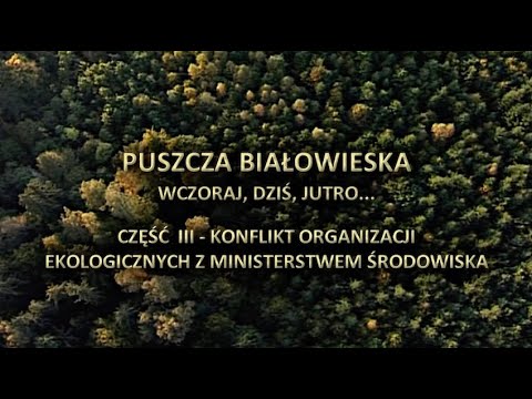 Puszcza Białowieska. Wczoraj, dziś i jutro. Część 3 - Konflikt organizacji ekologicznych z MŚ