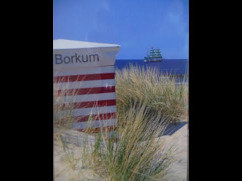 🚅Wo fährt unser Zug??🚆