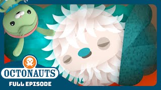 Download lagu @Octonauts - ✨ The Elusive Yeti Crab 🦀 | Season 3 | Full Episode | Cartoons for Kids mp3 Download lagu @Octonauts - ✨ The Elusive Yeti Crab 🦀 | Season 3 | Full Episode | Cartoons for Kids mp3