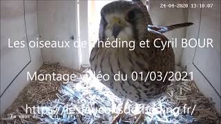 Vidéo de présentation des nichoirs 2021 et de la nouveauté