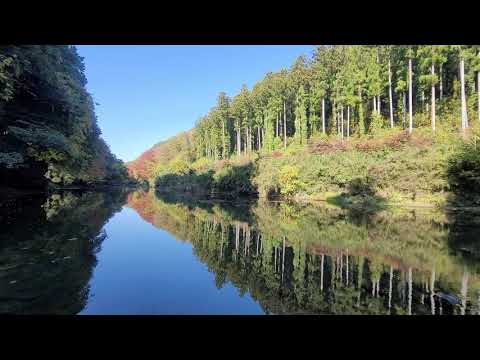 嵐山渓谷飛び石周辺