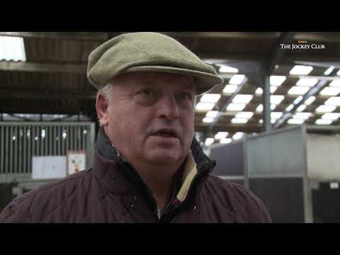 Lostintranslation: Our 2019/20 Chase Triple Crown contender