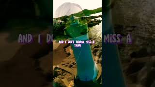 Download lagu I DON'T MISS THING - AEROSMITH #idontmissthing #aerosmith #lyrics #whatsappstatus #shorts mp3