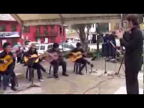 Orquesta de Guitarras del Municipio de La Calera