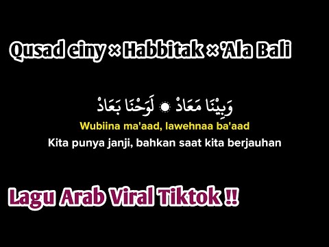 Qusad einy (wabina maad) x habbitak x ala bali (lirik arab, latin dan Terjemahan) Viral Tiktok