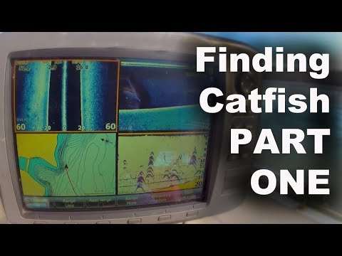 How To Find Catfish - Where To Start Looking For Catfish - Catfish on Sonar