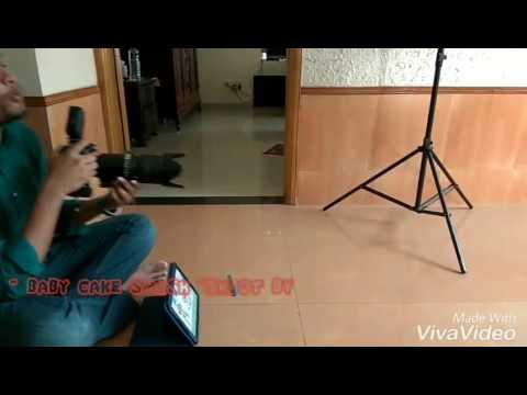 Baby Cake Smash Shoot