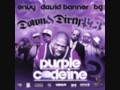 Petey Pablo Feat Pitbull Luke Holla At Ya Homeboy 2006