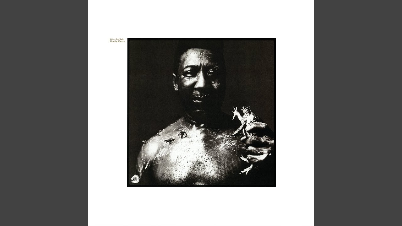 Muddy Waters - I Am the Blues