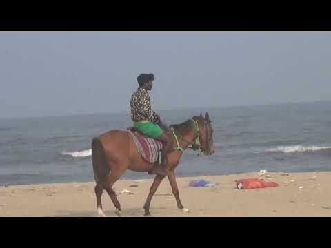 பெசன்ட் நகர் பீச்சில் குதிரை வண்டியில் செல்லும்போது நடந்த சம்பவம்