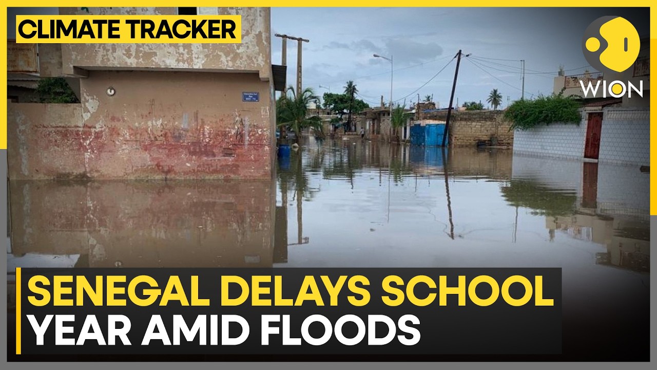 Senegal Delays School Year Amid Floods: Schools To Reopen Next Week | WION News