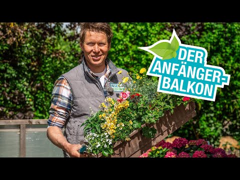 , title : 'Balkonpflanzen und -blumen für Anfänger'