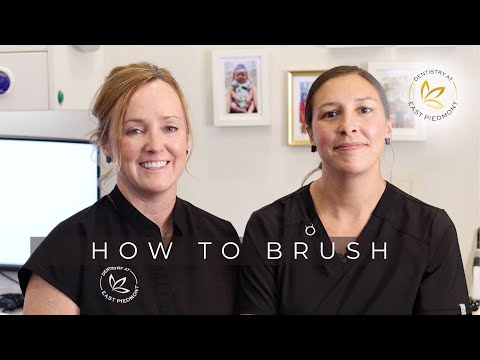 How to Brush Your Teeth Properly