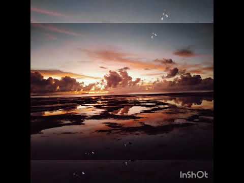 Awo Perez-Ruatu LSB 2008