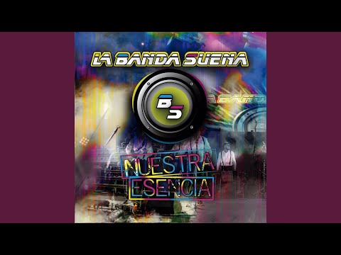 Introducción - Es mi culpa