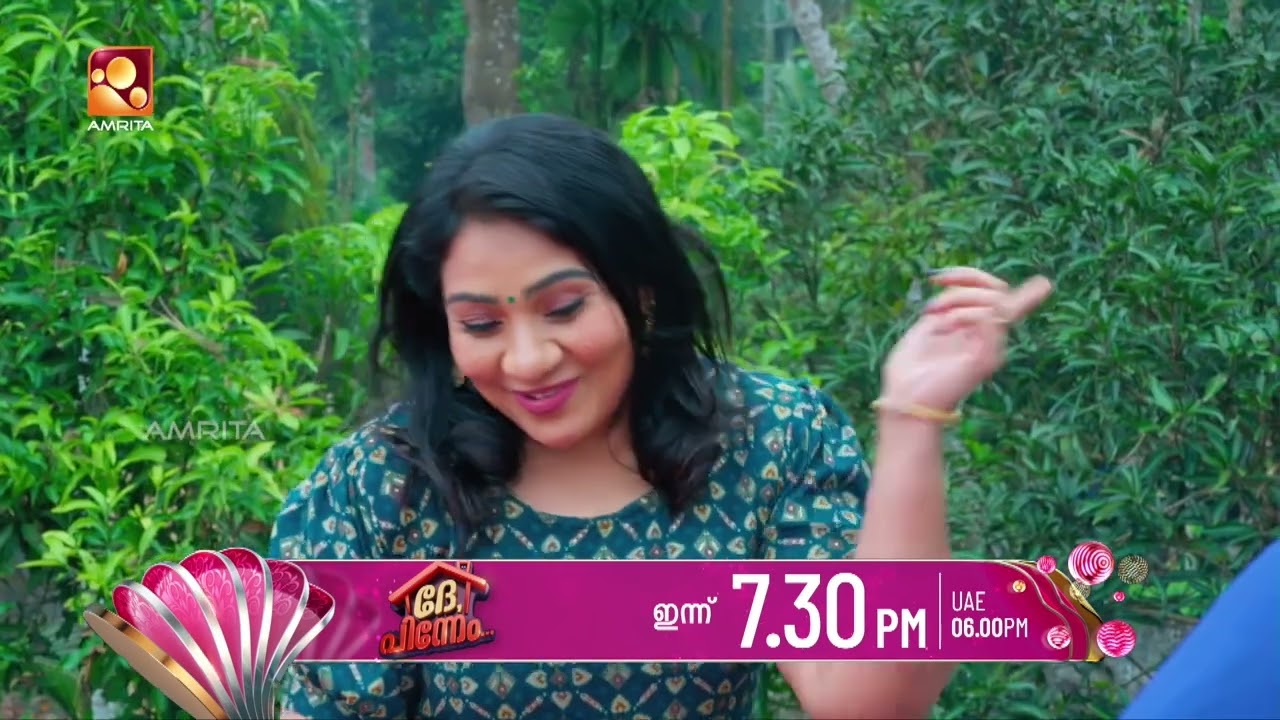 സരിതയെ പൂട്ടാനുള്ള ഉഗ്രൻ രഹസ്യവുമായി പുഷ്പ  | Dhe Pinneem | Amri