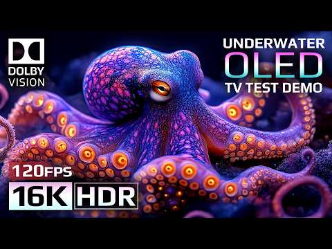 Underwater Life OLED Demo HDR 16K Video ULTRA HD Dolby Vision™ 120fps