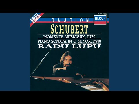 Schubert: Piano Sonata No. 19 in C minor, D.958 - 1. Allegro
