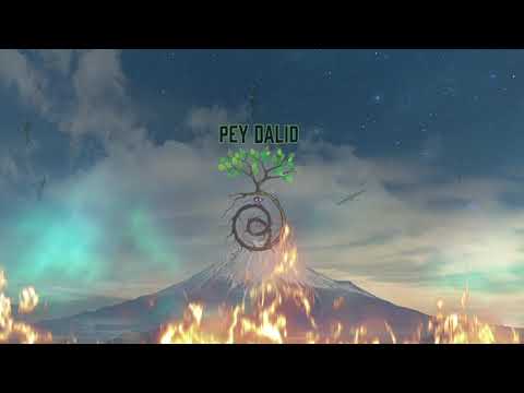Pey Dalid - Fire On The Mountain (Live)
