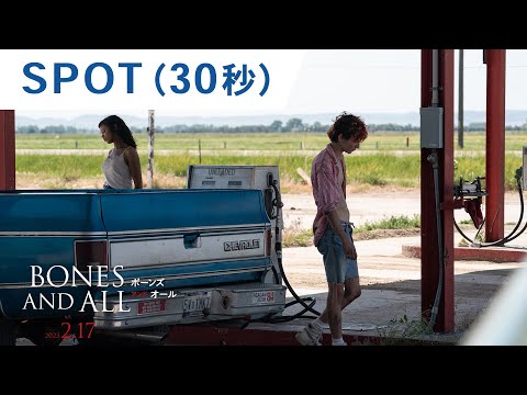 SPOT（30秒）  （字幕版）