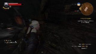 人妻witcher3 Wildhunt :GOTY #1