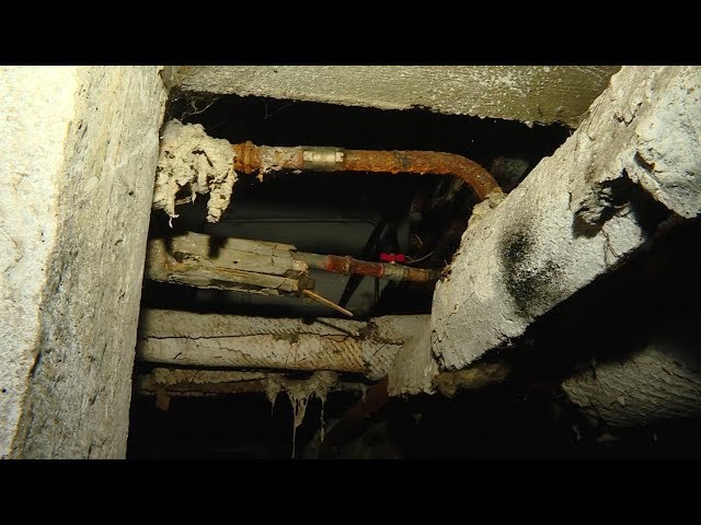 Не подвал, а выгребная яма!