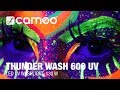 Cameo Thunder Wash 600 UV thumbnail 9
