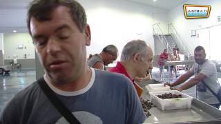 VIAJE AL PARAÍSO DEL MARISCO - O GROVE (GALICIA)