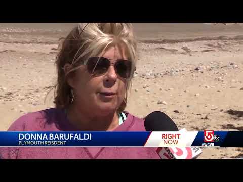 Beach today, gone tomorrow: Thousands spent to restore Mass. coastal areas