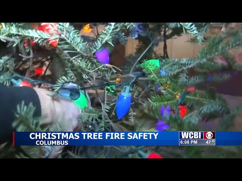 CFR shares Christmas tree safety tips ahead of the holidays