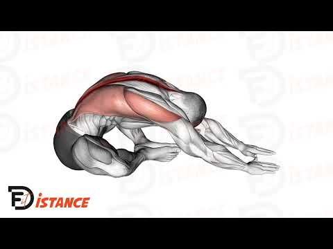 Étirement assis jambes croisées penché en avant - Exercice Étirement assis jambes croisées penché en avant en vidéo Étirement assis jambes croisées penché en avant - Exercice Étirement assis jambes croisées penché en avant en vidéo