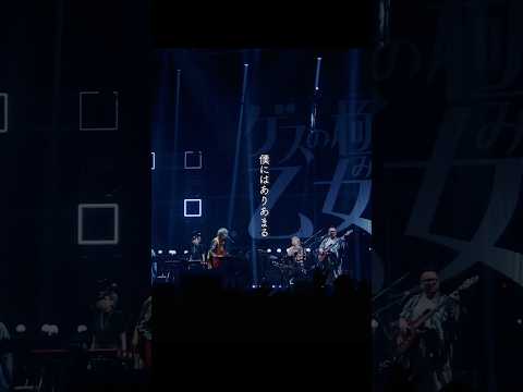 #ゲスの極み乙女 #ロマンスがありあまる