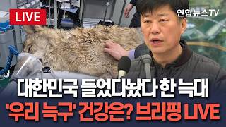 [????생중계] 전국을 들었다놨다 한 늑대…늑구가 돌아왔어요 건강 상태·포획 과정 브리핑 LIVE / 연합뉴스TV(YonhapnewsTV)